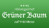 Grüner Baum - Neuglashütten